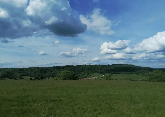 Lisi Zakatek